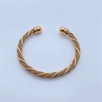 Mode Nouveau Titane Acier 18k Or Placage En Acier Inoxydable Twist Chaîne Bracelet main image 2