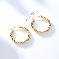 Vintage Style Twist Plating 201 Stainless Steel 18K Gold Plated Earrings main image 4