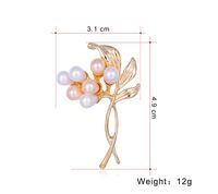Women's Casual Elegant Vintage Style Leaf Flower Alloy Artificial Pearls Brooches main image 3