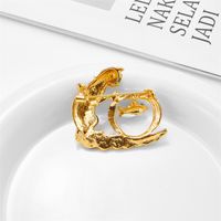 Women's Cute Funny Modern Style Fish Alloy Brooches Plating Diamond Rhinestones Brooches main image 2