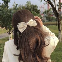 Sweet Bow Knot Chiffon Artificial Pearls Hair Clip 1 Piece main image 3