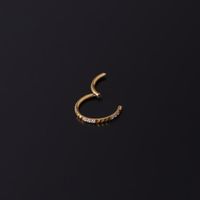 Unisex Fashion Circle Stainless Steel Nose Ring Plating Inlay Zircon main image 5