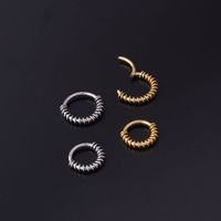 Unisex Fashion Circle Stainless Steel Metal Nose Ring Plating No Inlaid main image 6