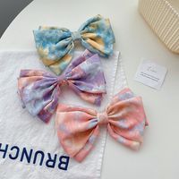 Women's Sweet Simple Style Printing Bow Knot Cloth Headwear Hair Clip main image 1