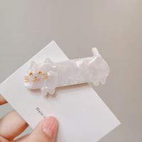 Women's Cartoon Style Cute Animal Cat Resin Cellulose Acetate Sheet Hair Accessories Headwear Cartoon Handmade Hair Clip sku image 8