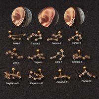 Ear Cartilage Rings & Studs Fashion Constellation 316 Stainless Steel  Copper Inlay Zircon main image 5