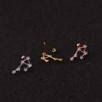 Ear Cartilage Rings & Studs Fashion Constellation 316 Stainless Steel  Copper Inlay Zircon main image 3