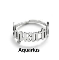 Women's Fashion Constellation Stainless Steel No Inlaid Stainless Steel Rings sku image 4