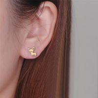 Women's Simple Style Dog Stainless Steel No Inlaid Ear Studs Stainless Steel Earrings main image 5