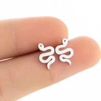 Women's Simple Style Snake Stainless Steel No Inlaid Ear Studs Plating Stainless Steel Earrings main image 1