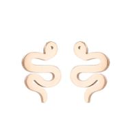 Women's Simple Style Snake Stainless Steel No Inlaid Ear Studs Plating Stainless Steel Earrings main image 2
