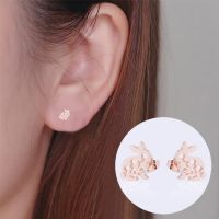 Women's Simple Style Rabbit Stainless Steel No Inlaid Ear Studs Hollow Out Stainless Steel Earrings main image 4