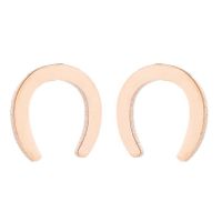 Women's Simple Style Geometric Stainless Steel No Inlaid Ear Studs Stainless Steel Earrings sku image 19