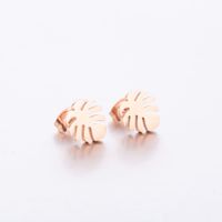 Women's Simple Style Geometric Snowflake Stainless Steel No Inlaid Ear Studs Stainless Steel Earrings main image 4