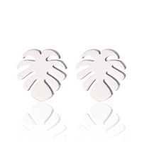 Women's Simple Style Geometric Snowflake Stainless Steel No Inlaid Ear Studs Stainless Steel Earrings sku image 5