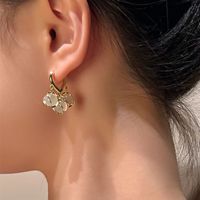 Frau Elegant Geometrisch Kupfer Opal Ohrringe Inlay Drop Ohrringe main image 1