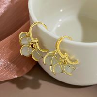 Women's Elegant Geometric Copper Opal Earrings Inlay Drop Earrings main image 4