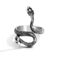 European And American Exaggerated Animal Ring Alloy Distressed Joint Ring Cross-border Metal Open Ring Frog Snake-shaped main image 2