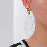 Women's Fashion Simple Style Geometric Stainless Steel Zircon Earrings Plating Stainless Steel Earrings main image 2