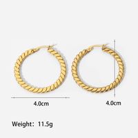Women's Fashion Simple Style Circle Stainless Steel No Inlaid Earrings Plating Stainless Steel Earrings sku image 1