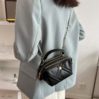 Women's Pu Leather Solid Color Fashion Lingge Soft Surface Chain Zipper Crossbody Bag Chain Bag sku image 3