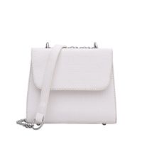 Mujeres Moda Estilo Clásico Color Sólido Superficie Suave Cadena Cocodrilo Cuadrado Hebilla Magnética Bolsa De Hombro Bolso Cuadrado Cuero Sintético Bolsos De Hombro main image 4