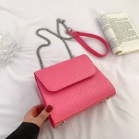 Mujeres Moda Estilo Clásico Color Sólido Superficie Suave Cadena Cocodrilo Cuadrado Hebilla Magnética Bolsa De Hombro Bolso Cuadrado Cuero Sintético Bolsos De Hombro sku image 7