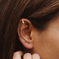 Women's Simple Style Snake Sterling Silver Gem Earrings Gold Plated 925 Silver Earrings main image 2
