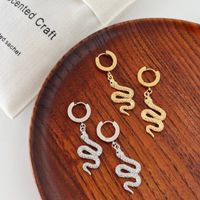 Women's Novelty Snake Stainless Steel Earrings Plating No Inlaid Stainless Steel Earrings main image 6