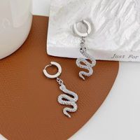 Women's Novelty Snake Stainless Steel Earrings Plating No Inlaid Stainless Steel Earrings sku image 2