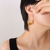 Women's Simple Style Geometric Titanium Steel Earrings Plating No Inlaid Stainless Steel Earrings sku image 1