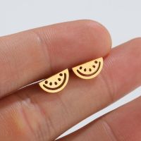 Simple Style Watermelon Titanium Steel Ear Studs Plating No Inlaid Stainless Steel Earrings main image 1