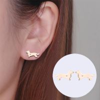 Fashion Dog Stainless Steel Earrings Ear Studs Plating No Inlaid Stainless Steel Earrings main image 5