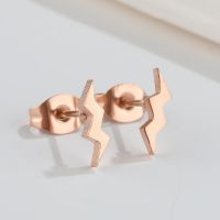 1 Pair Fashion Heart Shape Key Lightning Titanium Steel Plating Ear Studs sku image 11