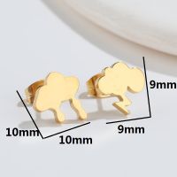 Simple Style Clouds Titanium Steel Ear Studs Plating No Inlaid Stainless Steel Earrings main image 4