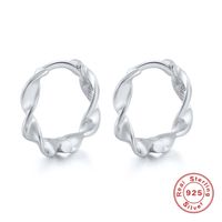 Mode Geometrisch Sterling Silber Ohrringe Überzug 925 Silber Ohrringe main image 2