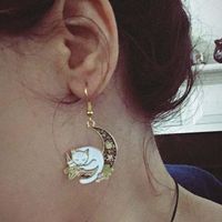 Fashion Moon Cat Alloy Plating No Inlaid Earrings main image 2