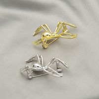 Fashion Spider Alloy Plating No Inlaid Brooches main image 2