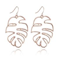 Alloy Simple Geometric Earring  (alloy) Nhgy2417-alloy sku image 2