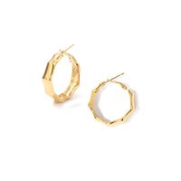 Fashion Geometric Plating Stainless Steel 14K Gold Plated Earrings main image 4