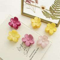 Sweet Solid Color Plastic Resin Flower Hair Claws 1 Piece main image 3