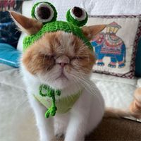 Cute Knit Frog Braid main image 3