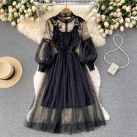 Women's Elegant Round Neck Lace Long Sleeve Solid Color Festival main image 4