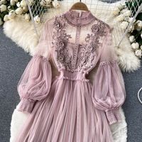 Women's Elegant Round Neck Lace Long Sleeve Solid Color Festival main image 8