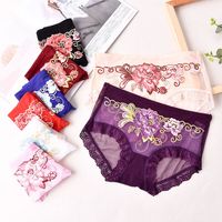 Floral Lace Sexy Nylon Underpants See-through Lingerie main image 1