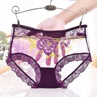 Floral Lace Sexy Nylon Underpants See-through Lingerie main image 2