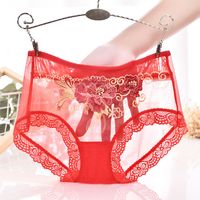 Floral Lace Sexy Nylon Underpants See-through Lingerie main image 6