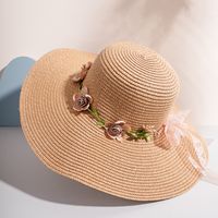 Summer New Beach Sun Protection Summer Hat Big Brim Straw Hat sku image 3