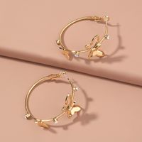 Fashion Circle Butterfly Alloy Plating Zircon Earrings 1 Pair main image 3