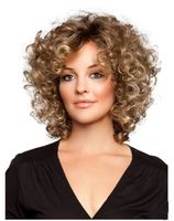Retro High Temperature Wire Side Fringe Short Curly Hair Wigs main image 4